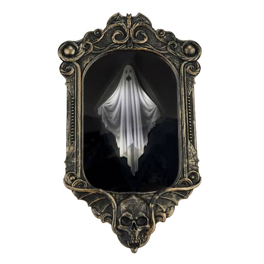 14" Animated Disappearing Ghost Frame by Ashland®